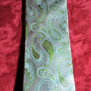 Silk Tie Steven Land Paisley Tie in Green and Gray